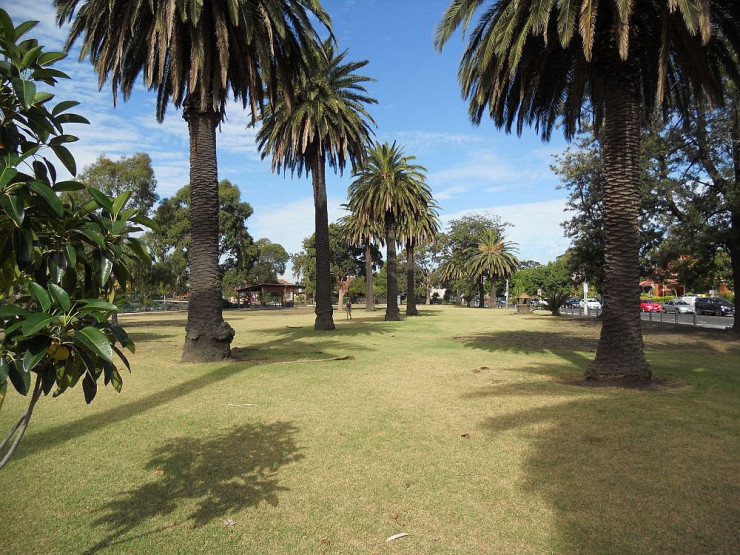 Batman Park Palms