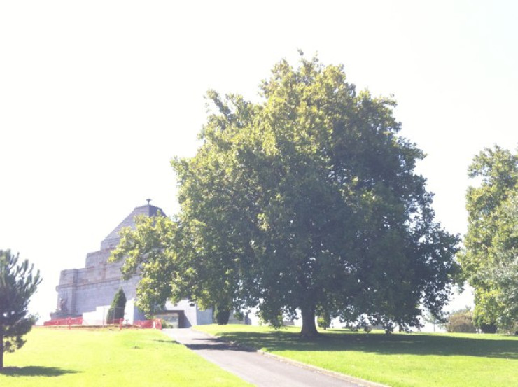 Shrine Of Remembrance