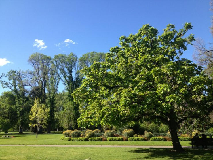 Fitzroy Gardens