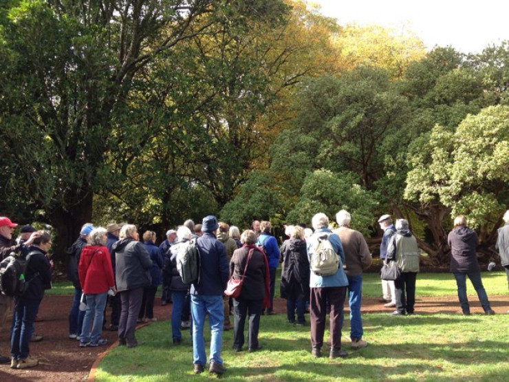 Camperdown Botanic Gardens And Arboretum