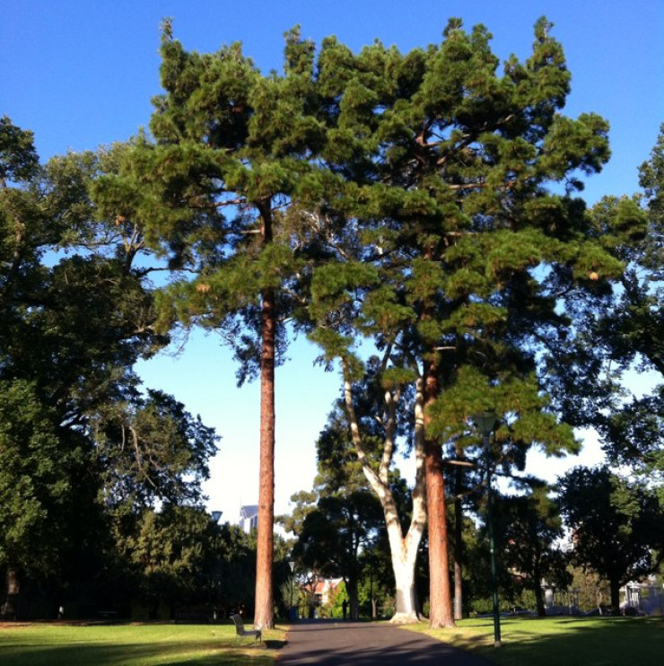 Royal Exhibition Building And Carlton Gardens (world Heritage Place)