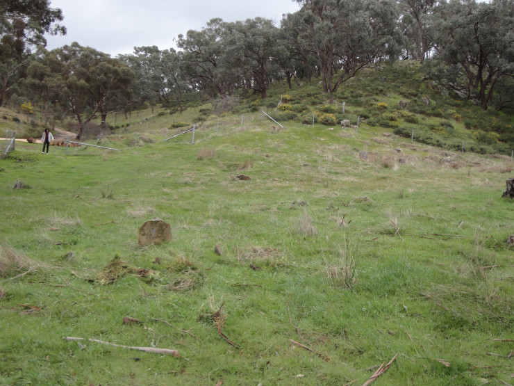 Cemetery Reef Gully Cemetery Chewton overview