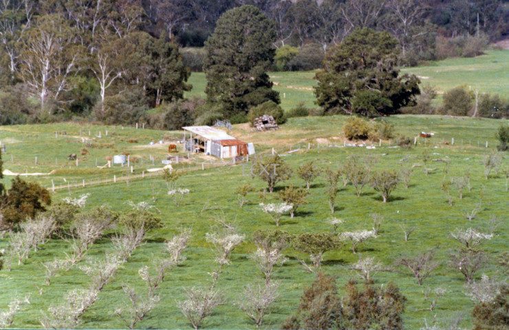 Herbert house & barns Diamond Creek