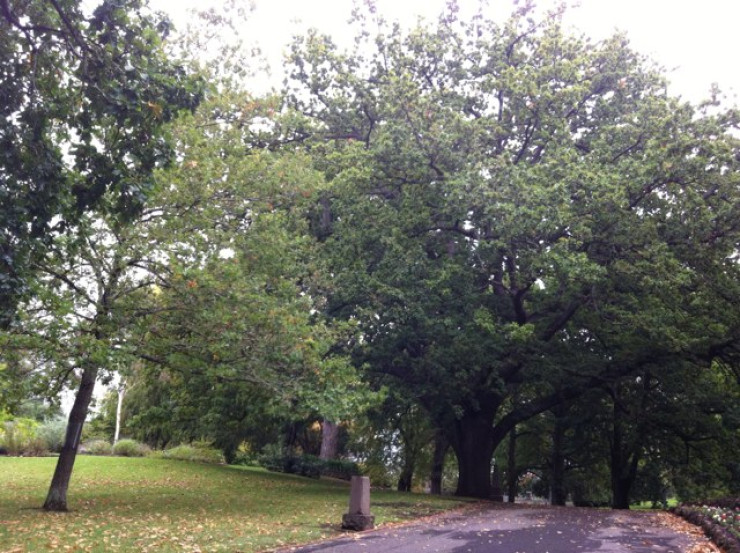 Hamilton Botanic Gardens