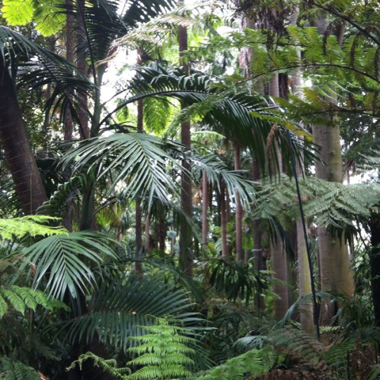 Royal Botanic Gardens