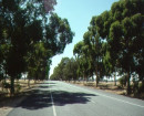 1940 to 1969
