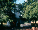 1940 to 1969