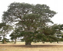 1940 to 1969