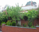 1880 to 1909