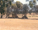 1940 to 1969