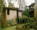 1940 to 1969