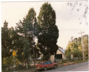 1910 to 1939